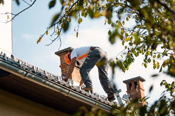 Best Affordable Roofing Company  in Rossville, KS
