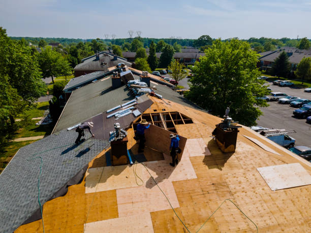 Best Best Roofing Contractors  in Rossville, KS