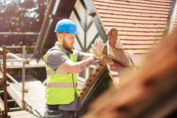 Best Roof Gutter Cleaning  in Rossville, KS