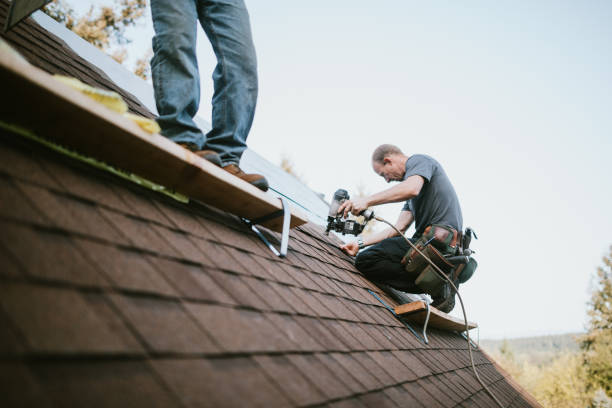 Best Metal Roofing Contractor  in Rossville, KS